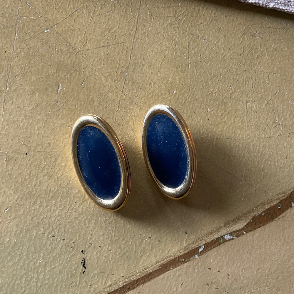 Elegant Black Oval Earrings